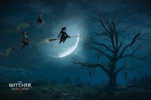 The Witcher 3: Wild Hunt, Artwork, Video Games