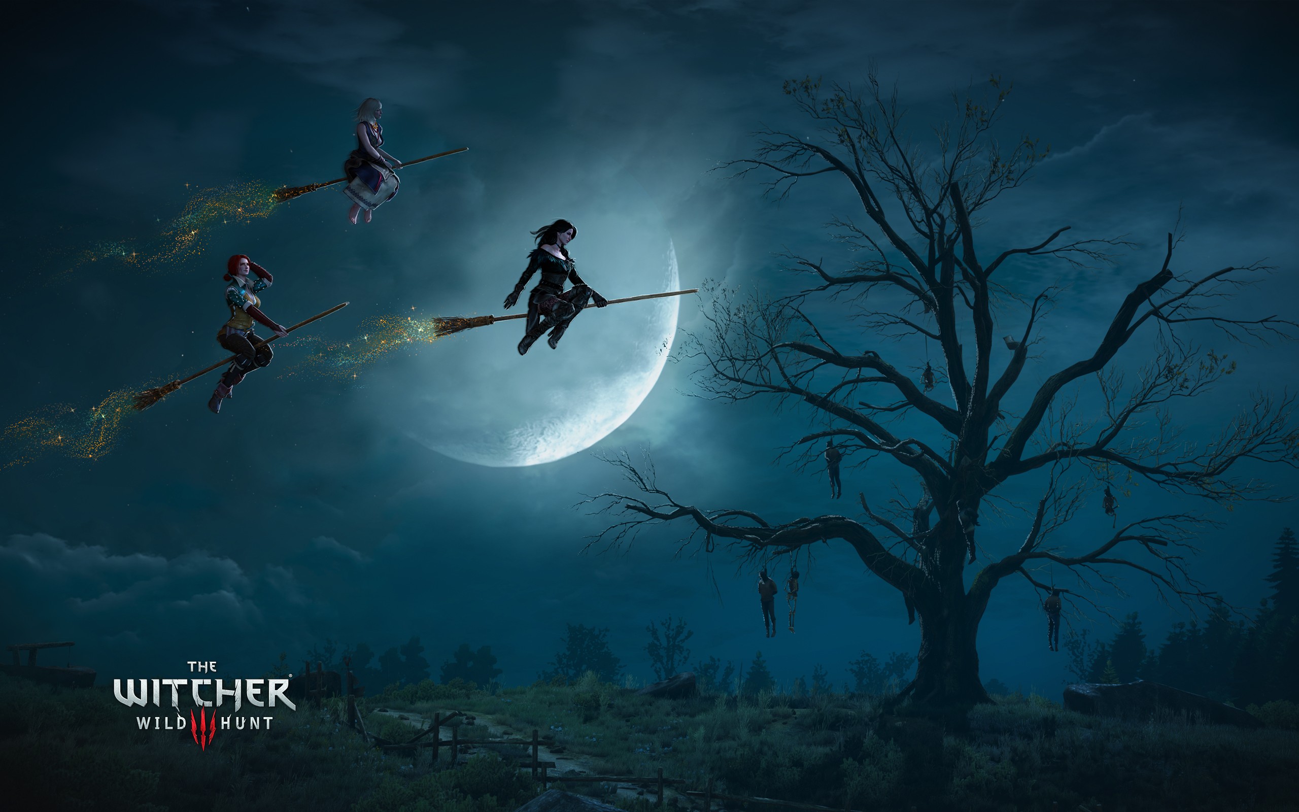 The Witcher 3: Wild Hunt, Artwork, Video Games Wallpaper