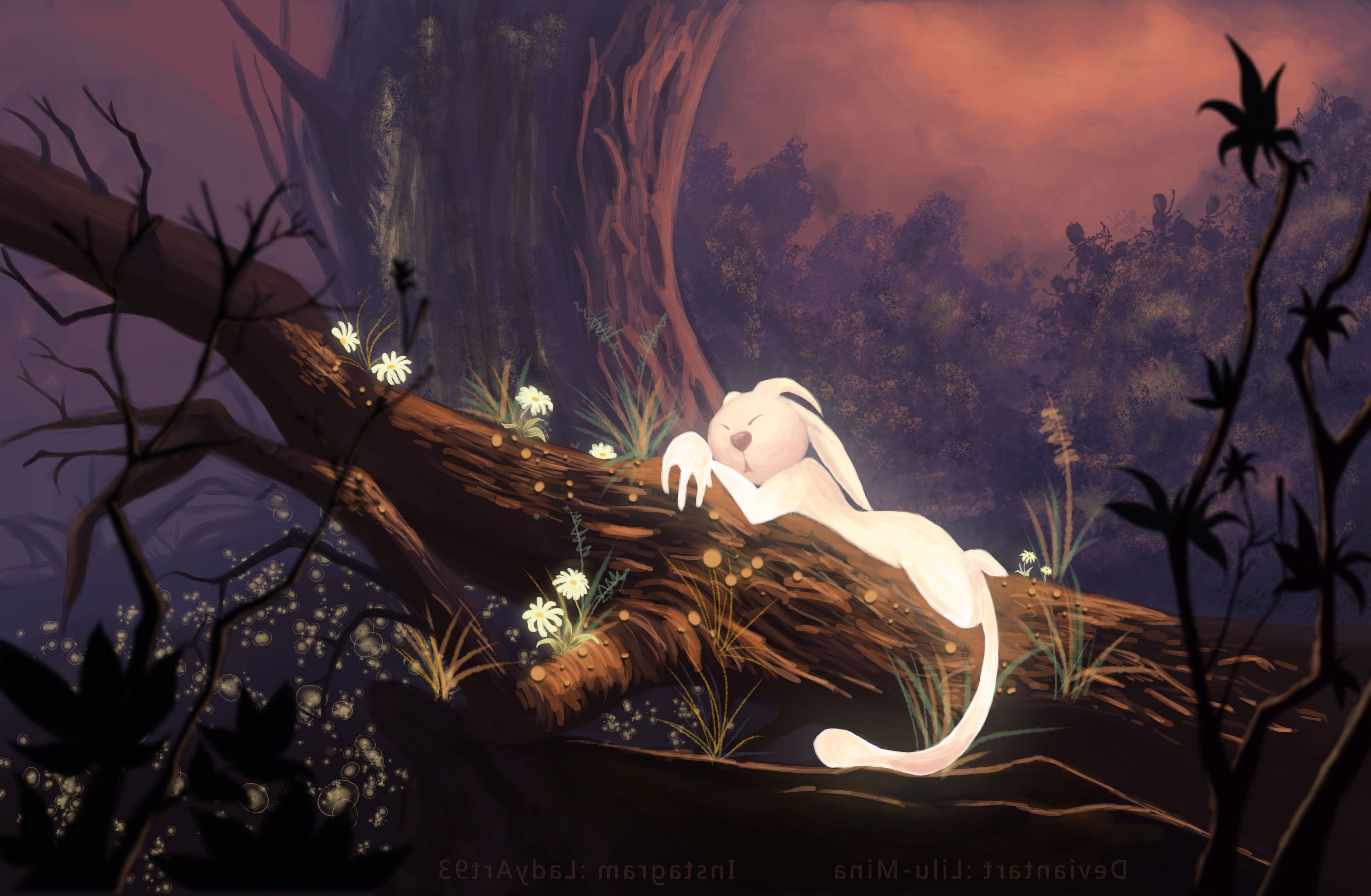 Video Games Ori And The Blind Forest Wallpapers Hd Desktop And