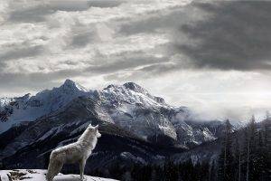mountains, Wolf, Landscape, Clouds, Snow, Mist