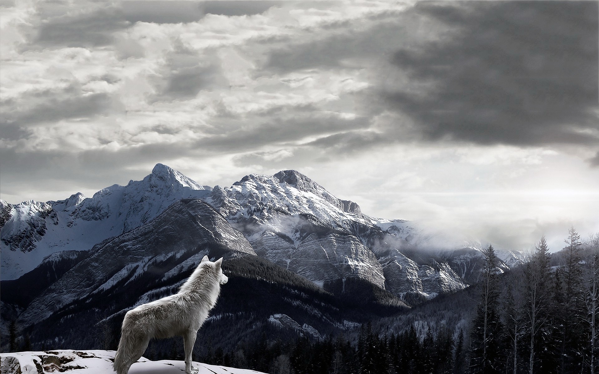 mountains, Wolf, Landscape, Clouds, Snow, Mist Wallpapers HD / Desktop and ...