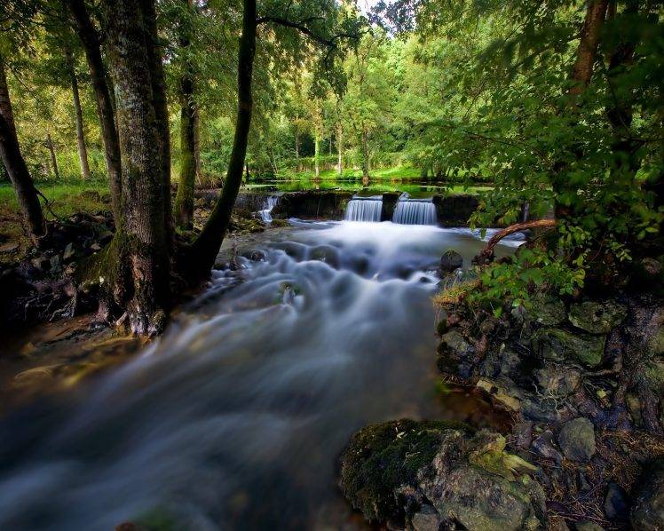 water, Rocks, Forest, Nature, Landscape HD Wallpaper Desktop Background