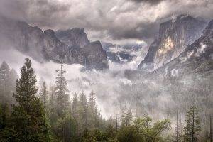 nature, Landscape, Mountains, Forest, Mist, Daylight, Clouds, Yosemite Valley
