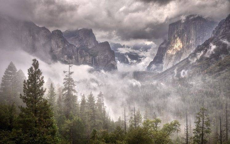nature, Landscape, Mountains, Forest, Mist, Daylight, Clouds, Yosemite Valley HD Wallpaper Desktop Background