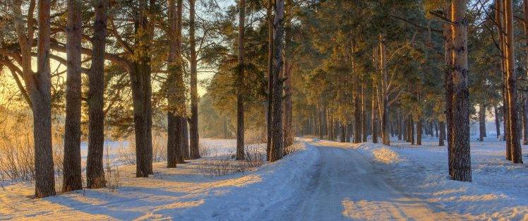 nature, Landscape, Morning, Sunlight, Forest, Road, Winter, Snow, Panoramas, Cold, Trees, Russia HD Wallpaper Desktop Background