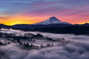 nature, Landscape, Photography, Mountains, Forest, Morning, Sunlight, Mist, Snowy Peak, Sky, Oregon