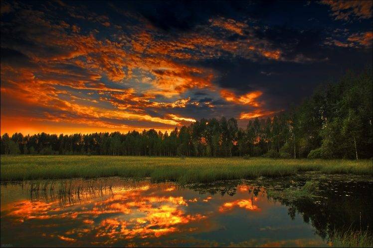 nature, Landscape, Trees, River, Clouds, Photography, Grass, Sunset HD Wallpaper Desktop Background