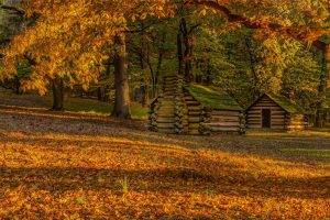 seasons, Fall, Grass, Trees, Yellow, Hut, Sun, Nature, Panorama, Park, Landscape, Pennsylvania, Valley Forge