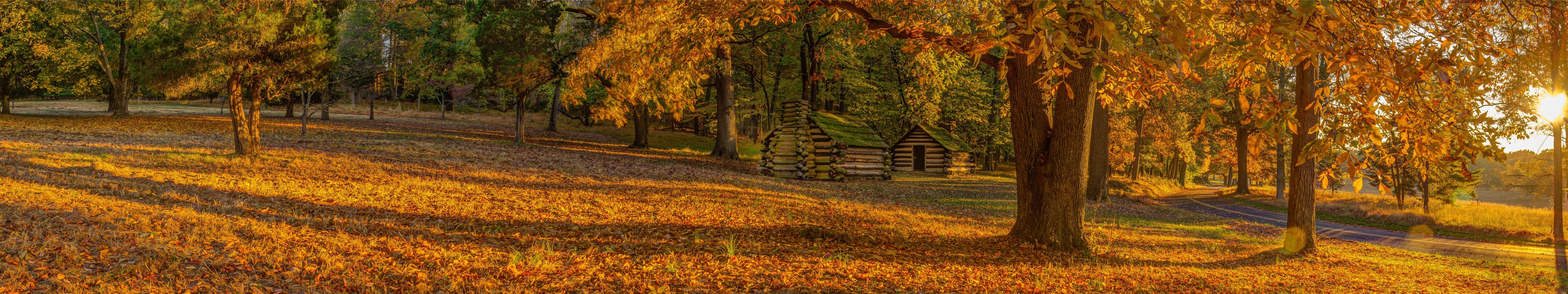seasons, Fall, Grass, Trees, Yellow, Hut, Sun, Nature, Panorama, Park