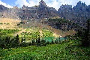 nature, Landscape, Photography, Mountains, Lake, Forest, Grass, Pine Trees, Summer, Glacier National Park, Montana