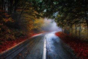 nature, Photography, Landscape, Road, Forest, Mist, Morning, Sunlight, Trees, Fall, Leaves, Red, Blue, Shrubs, Greece