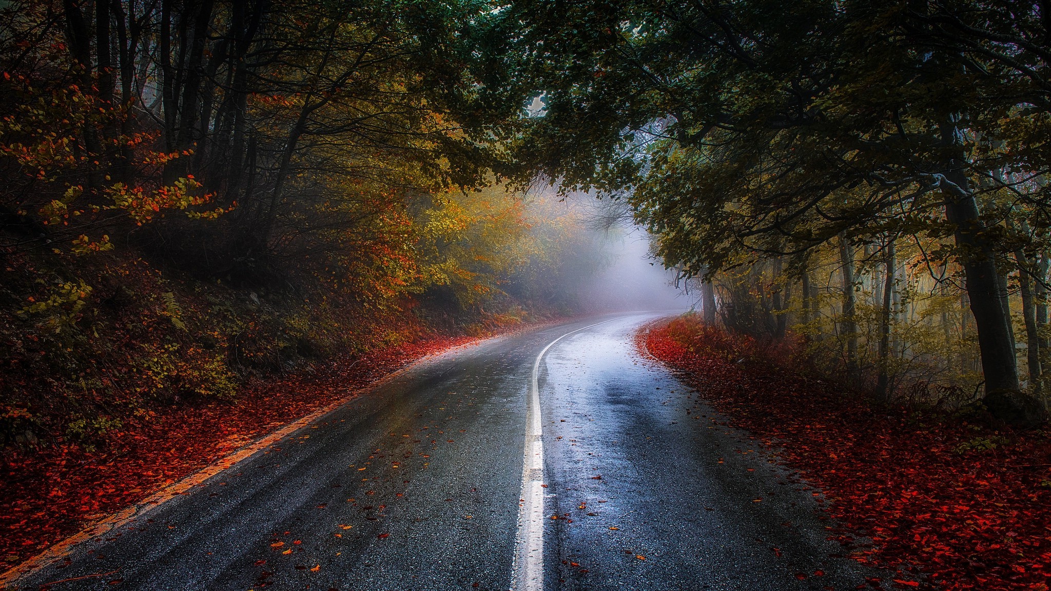 nature, Photography, Landscape, Road, Forest, Mist, Morning, Sunlight, Trees, Fall, Leaves, Red, Blue, Shrubs, Greece Wallpaper