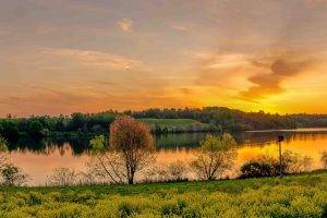 sunset, Lake, Panorama, Grass, Green, Landscape, Trees, Sun, Sky, Pennsylvania, Nature, Marsh Creek State Park