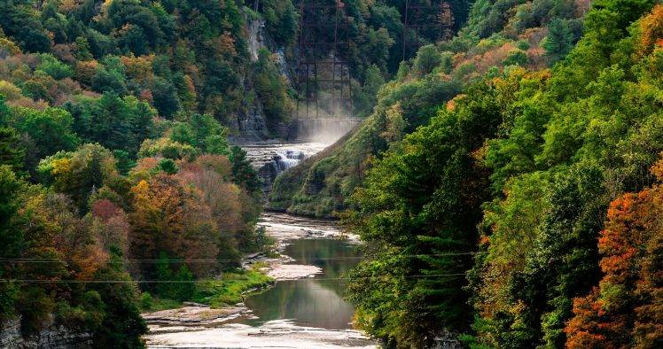river, Trees, Forest, Nature, Landscape, Photography, Water, Mist, Green HD Wallpaper Desktop Background