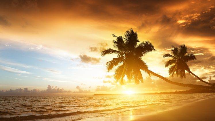 sunset, Beach, Sky, Clouds, Nature, Landscape, Trees HD Wallpaper Desktop Background