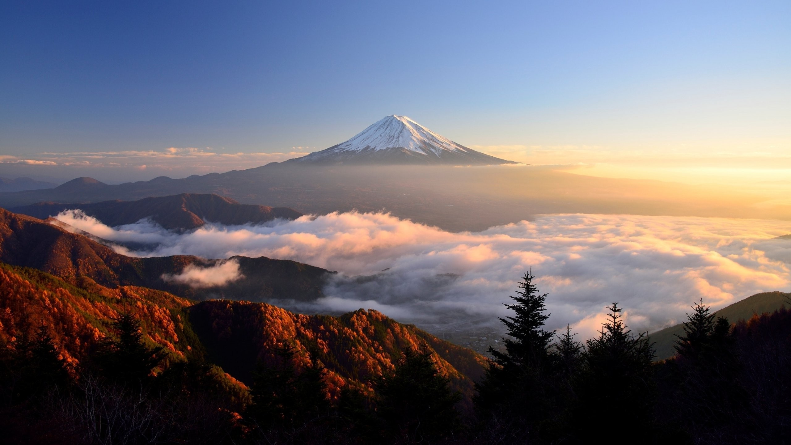 Mount Fuji, Clouds, Trees, Sky, Nature, Landscape, Mist, Sunlight, Top View Wallpaper
