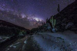 photography, Nature, Landscape, Mountains, Milky Way, Starry Night, Cactus, Galaxy, Long Exposure, Atacama Desert, Chile
