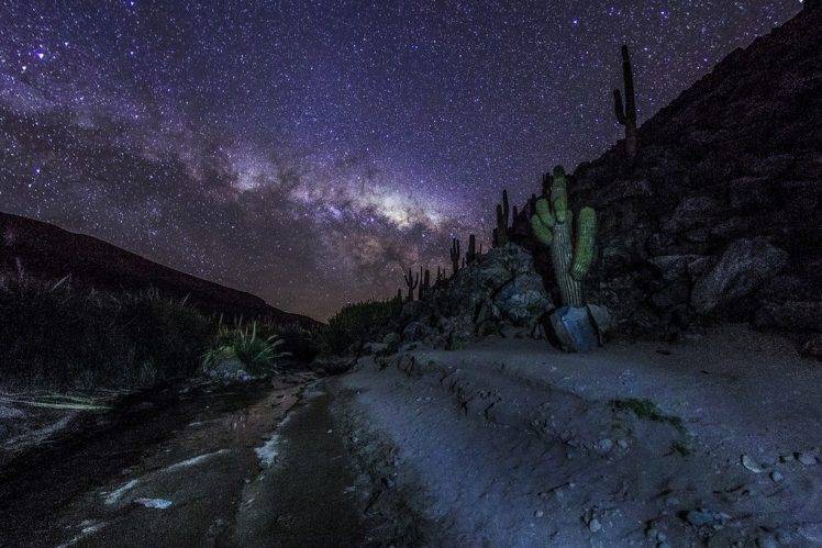 photography, Nature, Landscape, Mountains, Milky Way, Starry Night, Cactus, Galaxy, Long Exposure, Atacama Desert, Chile HD Wallpaper Desktop Background