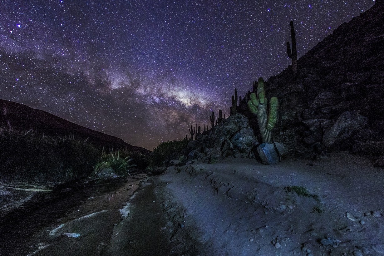 photography, Nature, Landscape, Mountains, Milky Way, Starry Night, Cactus, Galaxy, Long Exposure, Atacama Desert, Chile Wallpaper