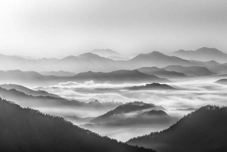 photography, Landscape, Nature, Morning, Sunlight, Mist, Mountains, Forest, Monochrome HD Wallpaper Desktop Background