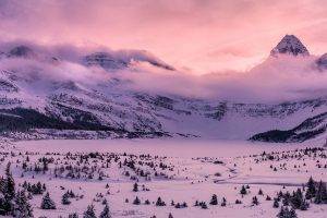 photography, Landscape, Nature, Mountains, Panorama, Winter, Forest, Snow, Pink, Clouds, Sunset, Cold, British Columbia, Canada