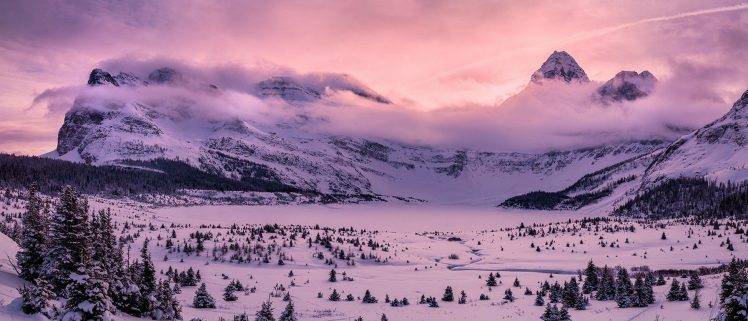 photography, Landscape, Nature, Mountains, Panorama, Winter, Forest, Snow, Pink, Clouds, Sunset, Cold, British Columbia, Canada HD Wallpaper Desktop Background