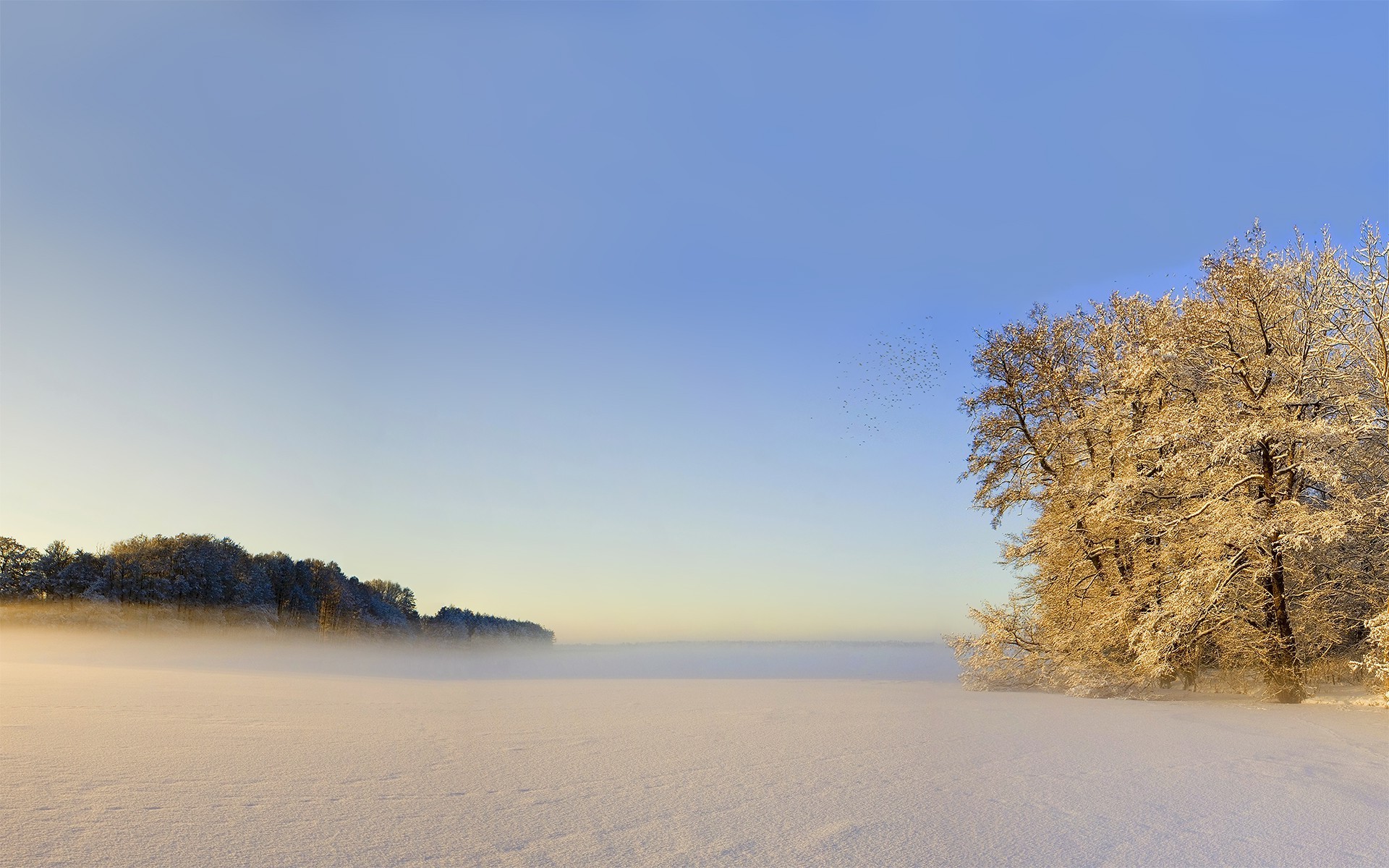 landscape Wallpaper