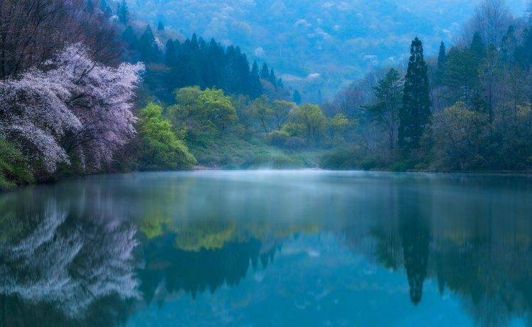 nature, Photography, Landscape, Lake, Forest, Spring, Morning, Reflections, Hills, Blossoms, Sunlight, Mist, Blue, South Korea HD Wallpaper Desktop Background
