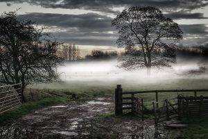 nature, Photography, Landscape, Mist, Morning, Fence, Gates, Trees, Field, Rain, Dark, Clouds