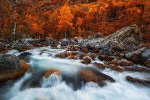 nature, Photography, Landscape, Fall, Forest, River, Rapids, Trees, Red, Leaves, Long Exposure