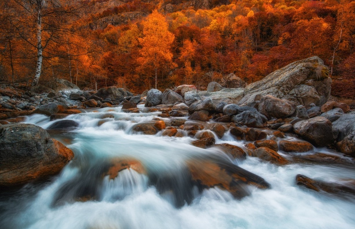 nature, Photography, Landscape, Fall, Forest, River, Rapids, Trees, Red, Leaves, Long Exposure Wallpaper