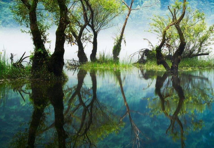 photography, Nature, Landscape, Reflections, River, Trees, Grass, Mist, Hills, South Korea HD Wallpaper Desktop Background