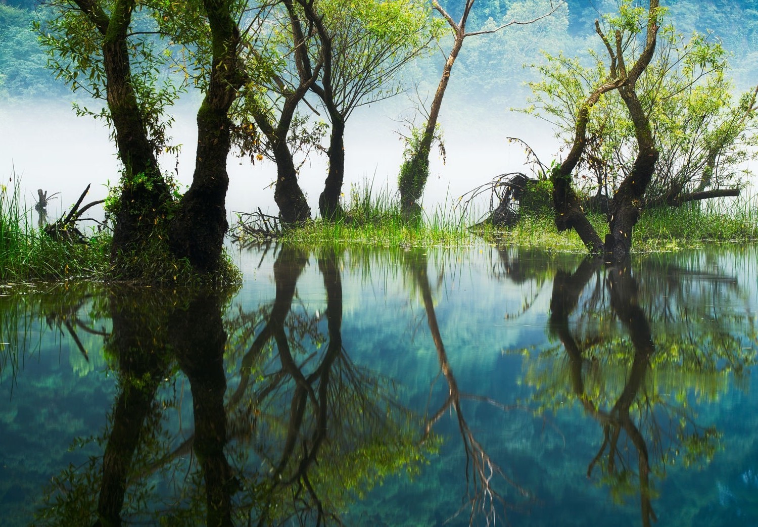 photography, Nature, Landscape, Reflections, River, Trees, Grass, Mist, Hills, South Korea Wallpaper