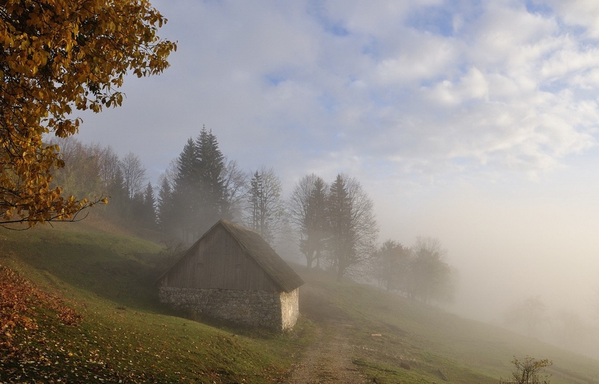 photography, Landscape, Nature, Morning, Mist, Sunlight, Trees, Hut, Hills, Fall, Slovenia Wallpaper