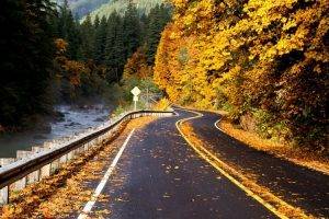 photography, Nature, Landscape, Road, River, Forest, Fall, Leaves, Mountains, Trees, Yellow, Foliage, Asphalt
