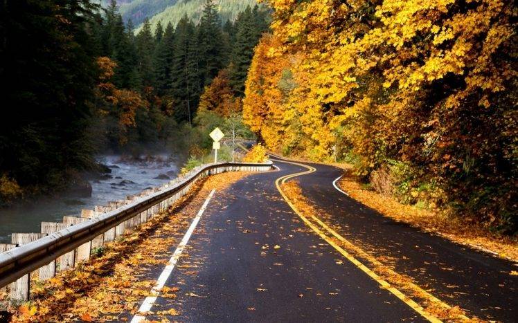 photography, Nature, Landscape, Road, River, Forest, Fall, Leaves, Mountains, Trees, Yellow, Foliage, Asphalt HD Wallpaper Desktop Background