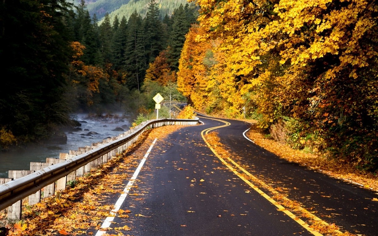 photography, Nature, Landscape, Road, River, Forest, Fall, Leaves, Mountains, Trees, Yellow, Foliage, Asphalt Wallpaper