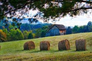 photography, Nature, Landscape, Barn, Fence, Field, Forest, Grass, Trees, Fall