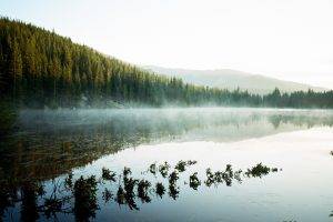 photography, Nature, Landscape, Lake, Mist, Forest, Hills, Reflection, Morning, Sunlight, Rocky Mountains, National Park, Colorado
