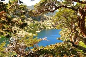 photography, Landscape, Nature, Lake, Mountains, Trees, Summer, Sierra Nevada, California