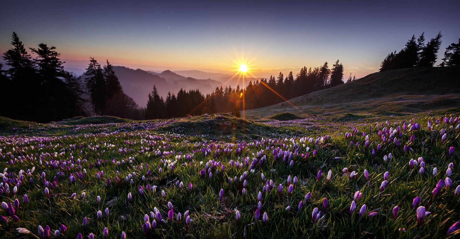 landscape, Sunset Wallpaper