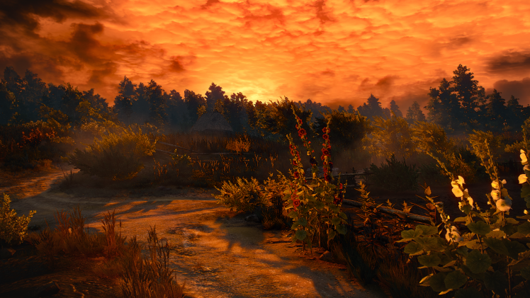 The Witcher 3: Wild Hunt, Video Games HD Wallpaper Desktop Background