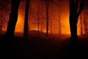 photography, Landscape, Nature, Mist, Park, Trees, Path, Lights, Night, Estonia
