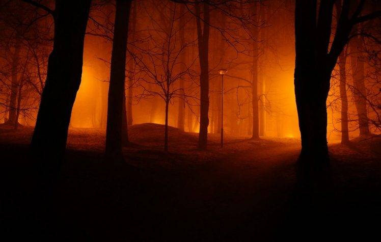photography, Landscape, Nature, Mist, Park, Trees, Path, Lights, Night, Estonia HD Wallpaper Desktop Background