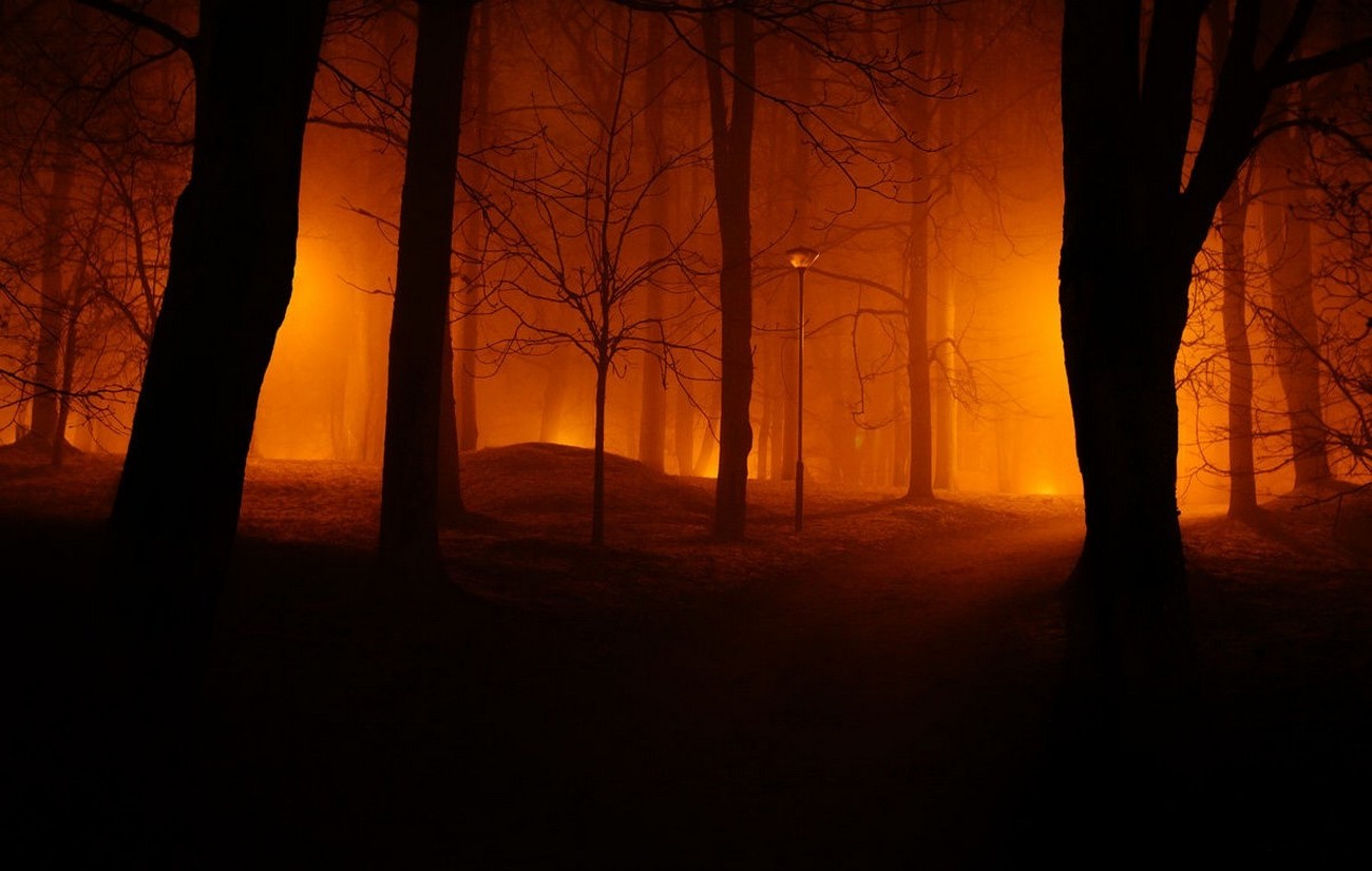 photography, Landscape, Nature, Mist, Park, Trees, Path, Lights, Night, Estonia Wallpaper