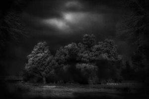 photography, Landscape, Nature, Monochrome, Moonlight, Trees, Fence, Clouds, River, Netherlands