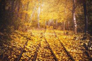 railroad Track, Nature, Trees, Landscape, Leaves