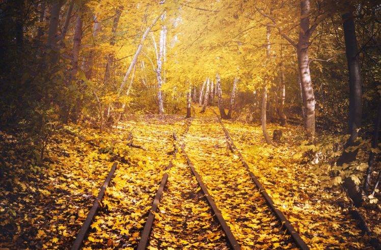 railroad Track, Nature, Trees, Landscape, Leaves HD Wallpaper Desktop Background