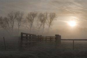nature, Photography, Landscape, Morning, Mist, Sunlight, Fall, Fence, Trees, Gates, Field, Grass, Clouds, Belgium