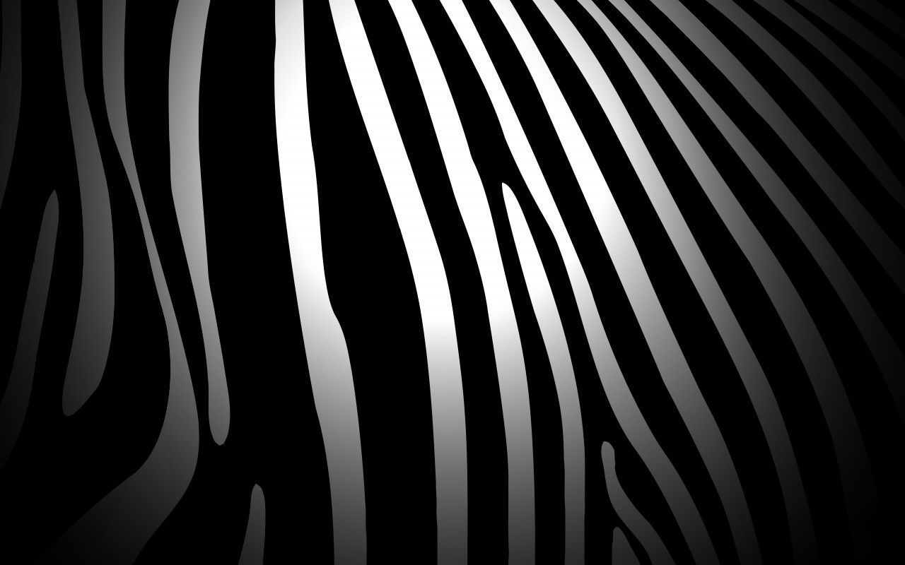 zebras, Pattern Wallpaper